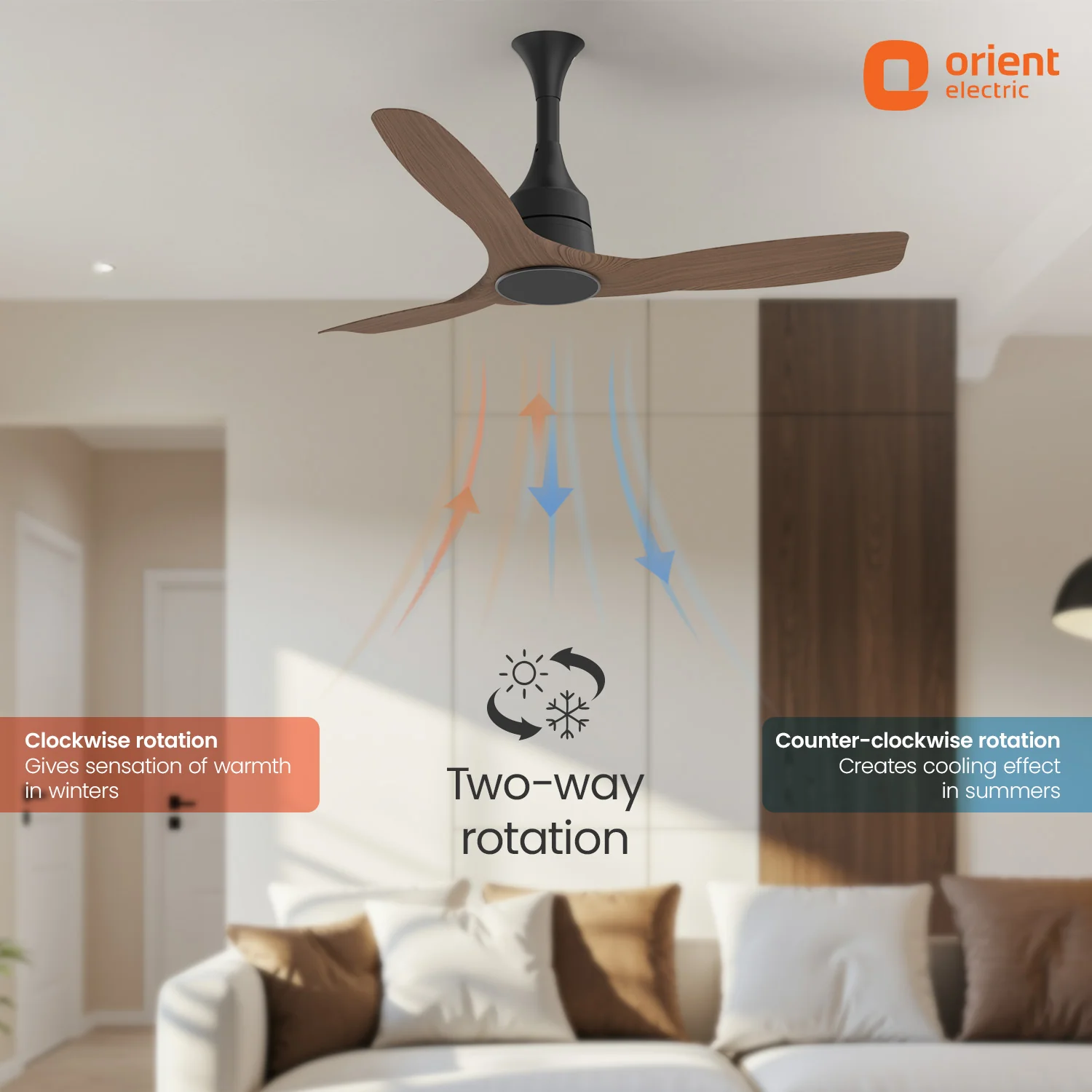 Aerosense Smart BLDC Ceiling Fan | 5 Year Warranty - Image 29