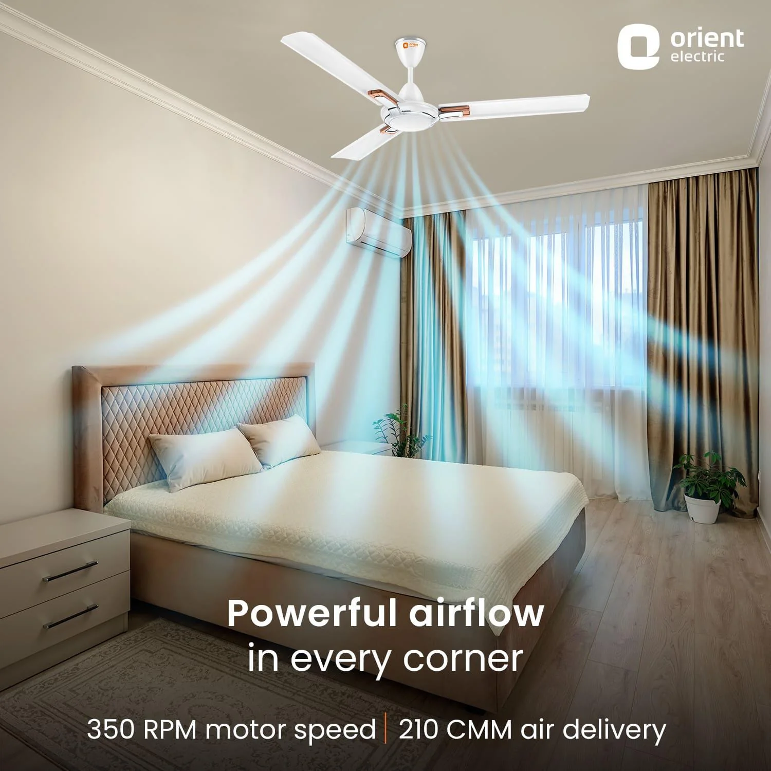 Apex Prime Ceiling Fan | 5-Year Warranty - Image 4