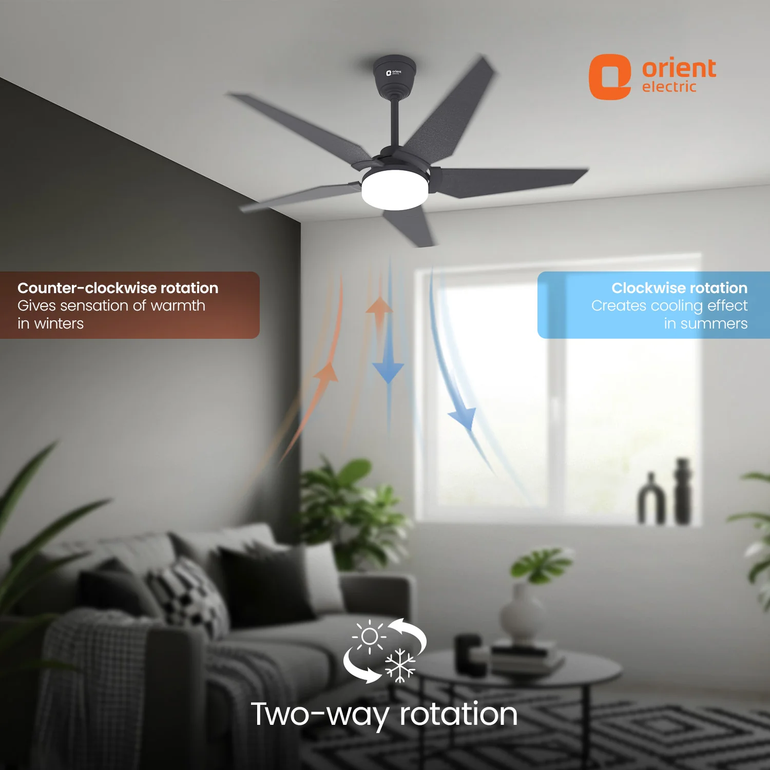 Artis BLDC Pro Ceiling Fan With Remote | 5 Star | 2 Way Rotation | 5 Blade | Black - Image 3