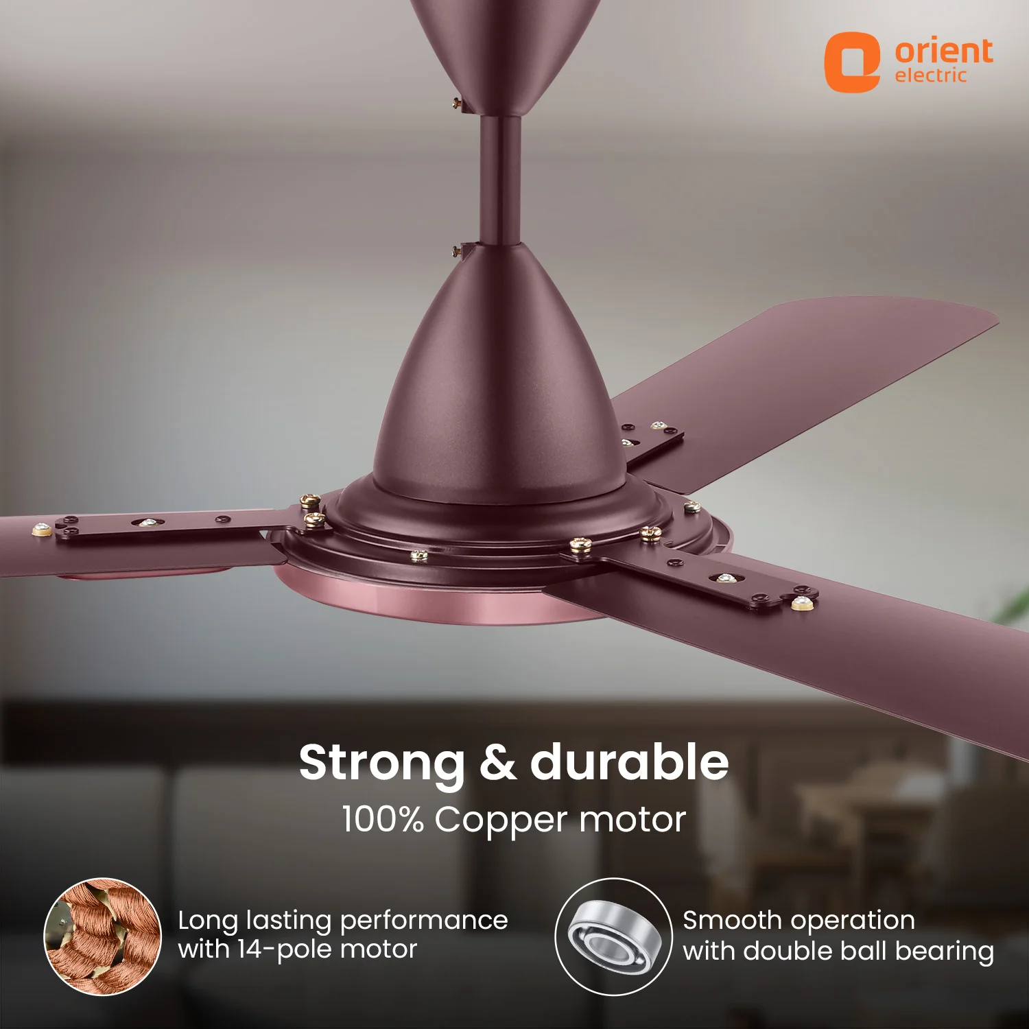 Blanco Decorative Ceiling Fan | 2-Year Warranty - Image 11