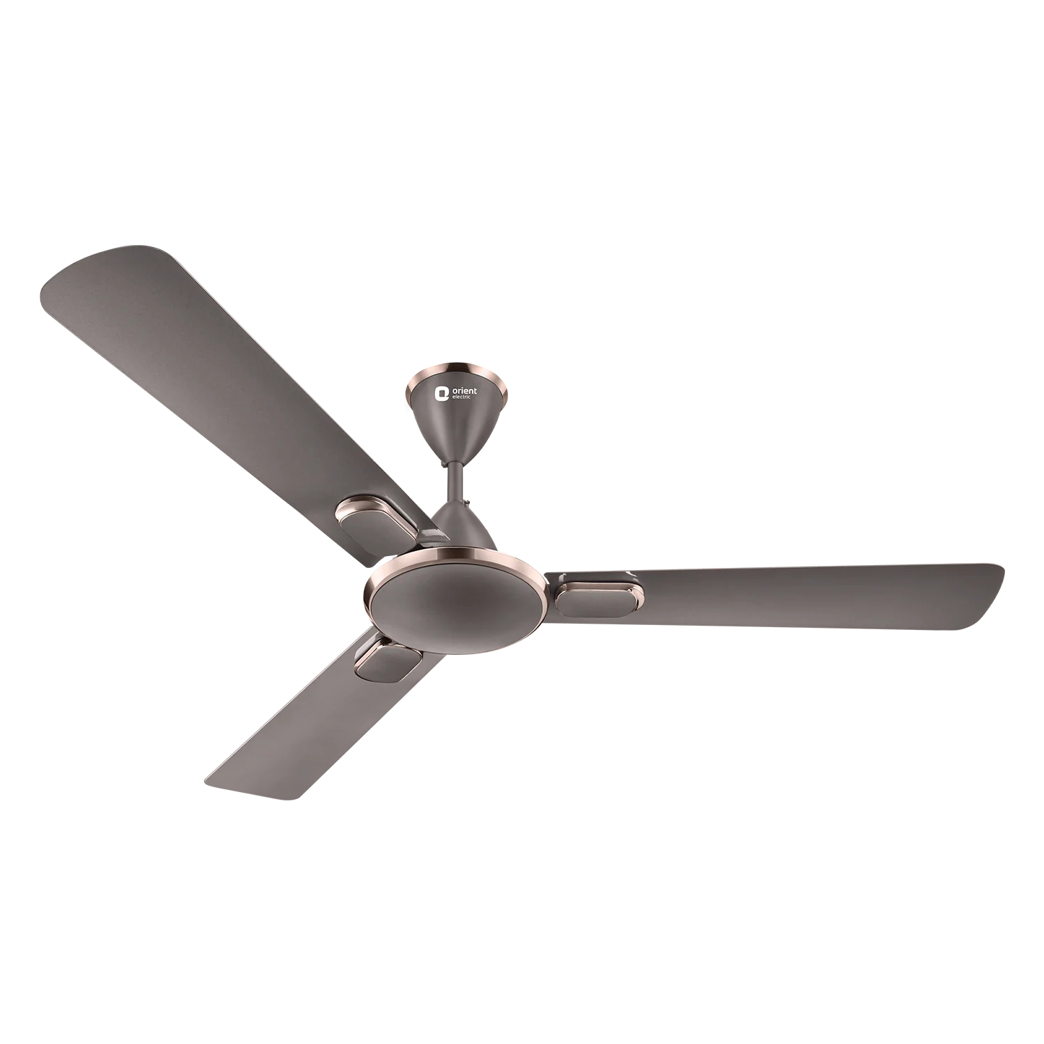 Blanco Decorative Ceiling Fan | 2-Year Warranty - Image 12