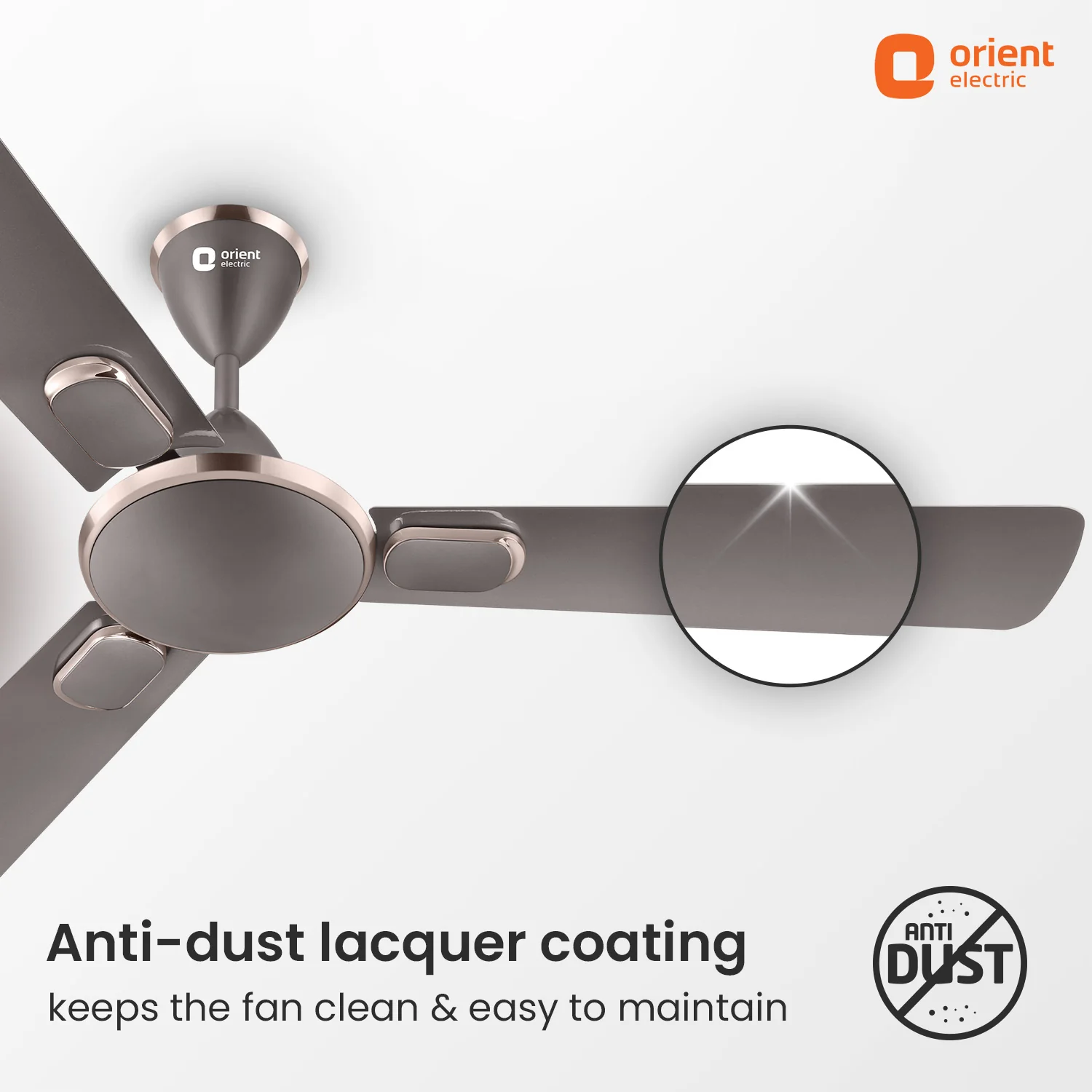 Blanco Decorative Ceiling Fan | 2-Year Warranty - Image 17