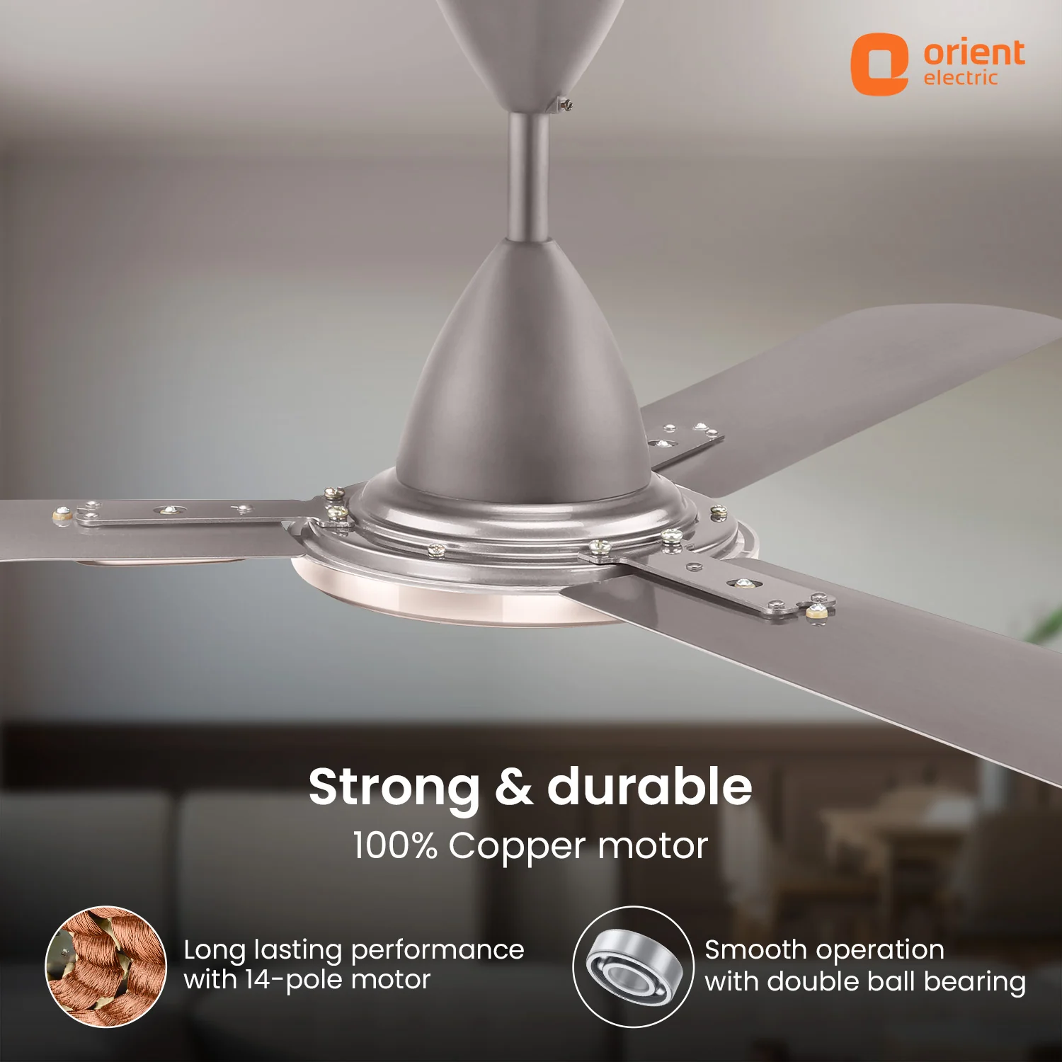 Blanco Decorative Ceiling Fan | 2-Year Warranty - Image 19
