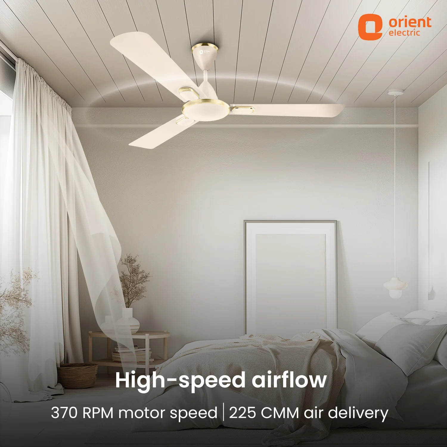Blanco Decorative Ceiling Fan | 2-Year Warranty - Image 34