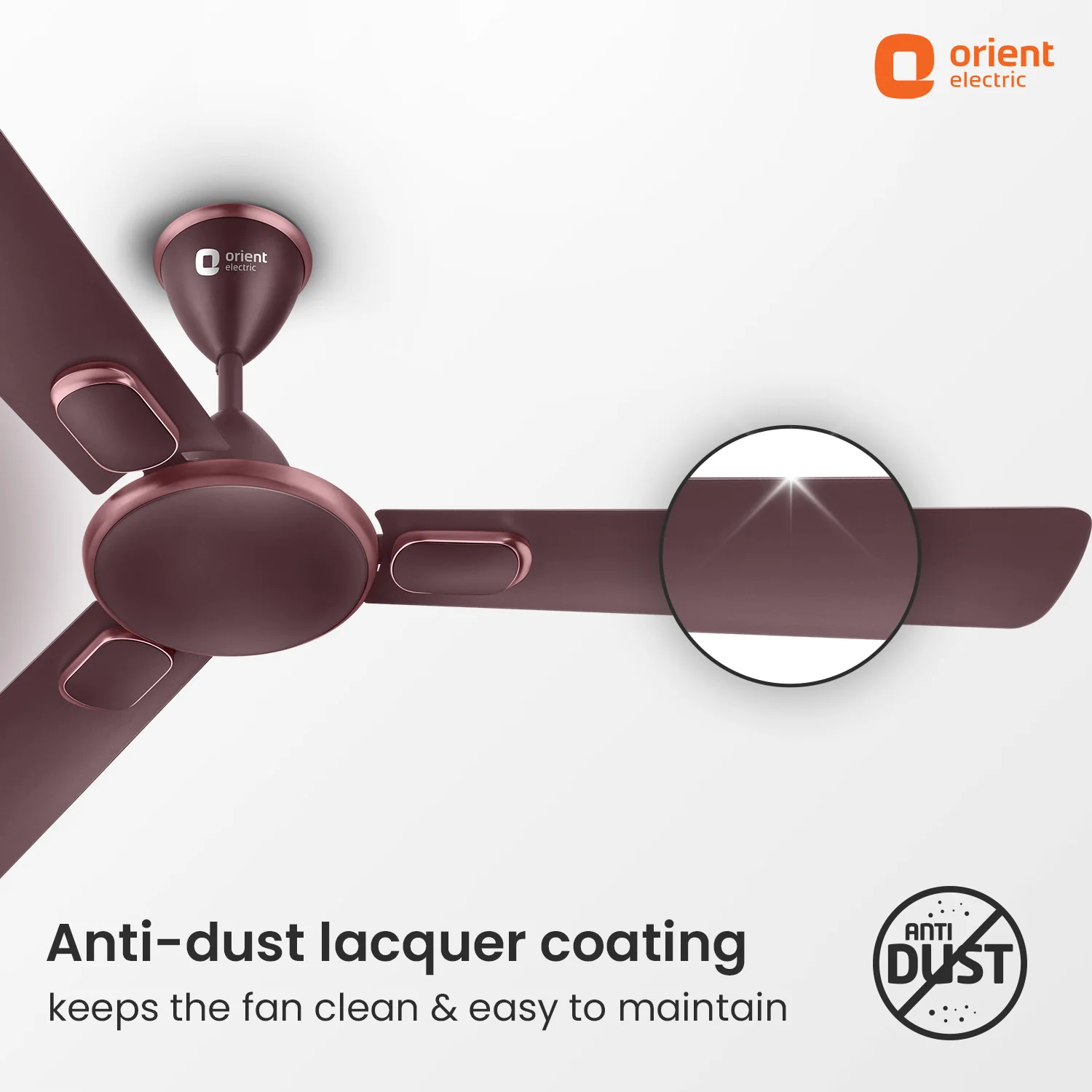Blanco Decorative Ceiling Fan | 2-Year Warranty - Image 9