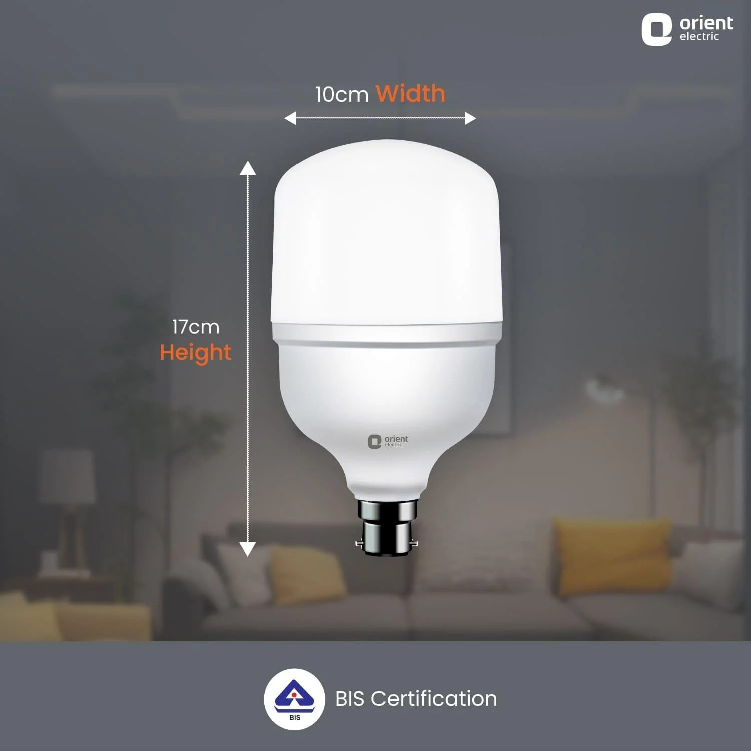 Eternal Shine LED Bulb - Image 12