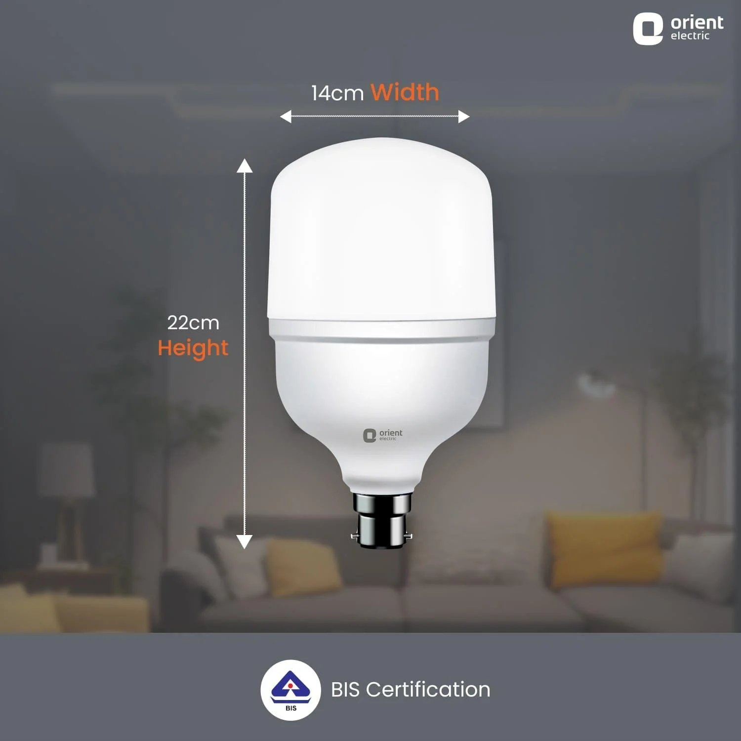 Eternal Shine LED Bulb - Image 15