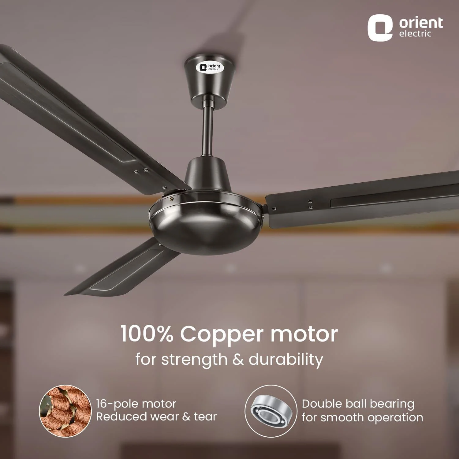 Quasar Ceiling Fan | 2-Year Warranty - Image 24